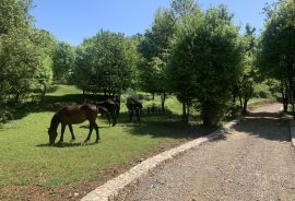 OPATIJA, MOŠĆENIČKA DRAGA, MOŠĆENICE - jedinstvena mogućnost gradnje vile s bazenom na ekskluzivnoj lokaciji, Mošćenička Draga, Tierra