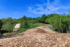 Urbanizirane parcele na prodaju, Rojnići, Barban, Istra, Barban, Земля