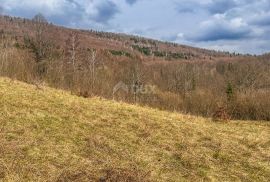 GORSKI KOTAR, VRBOVSKO- Zemljište od 20611m2!, Vrbovsko, Land