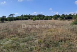 Istra, Lupoglav - prodaja građevinskog zemljišta od 3832m2!, Lupoglav, Terrain