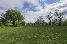 PRODAJA ! Građevinsko zemljište za izgradnju više vila,12 000 m2., Višnjan, Terreno