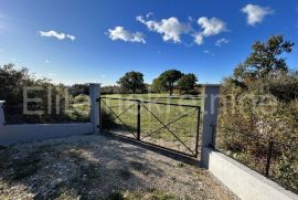 Istra, Galižana - Uređeno poljoprivredno zemljište, Vodnjan, Terreno