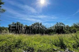 Marčelji - najam građevinskog zemljišta, 21.000 m2 !, Viškovo, Terreno