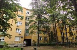 Zemun, Alaska, 1.0, 24m2, potkrovlje, Zemun, Apartamento