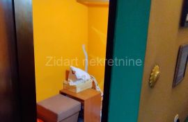 Zemun, Alaska, 1.0, 24m2, potkrovlje, Zemun, Apartamento