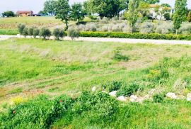 ISTRA, VIŽINADA - Građevinsko zemljište sa građevinskom dozvolom za vilu sa bazenom, Vižinada, Terra