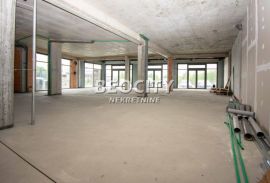 Zemun, Plavi horizonti, , 1.0, 330m2, Zemun, Commercial property