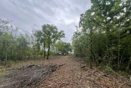 ISTRA,LABIN - Građevinsko zemljište s pogledom na prirodu, Labin, Γη