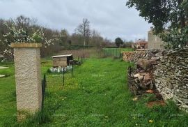 Građevinsko zemljište Prodaje se građevinsko i poljoprivredno zemljiste, blizu Žminja, Žminj, Terrain