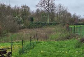 Građevinsko zemljište Prodaje se građevinsko i poljoprivredno zemljiste, blizu Žminja, Žminj, Terrain