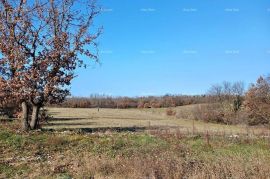 Građevinsko zemljište Prodaje se građevinska parcela 1100 m2, Marčana, Marčana, Tierra