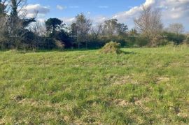 Građevinsko zemljište Prodaje se građevinsko zemljište s građevinskom dozvolom, Vodnjan, Vodnjan, Land