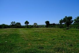 ZADAR, POLJICA - Izvanredno građevinsko zemljište na mirnoj lokaciji, Nin, Land