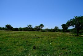 ZADAR, POLJICA - Povoljno građevinsko zemljište na ugodnoj lokaciji, Nin, Land