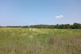 Poljoprivredno zemljište u okolici Rovinja, Rovinj, Land