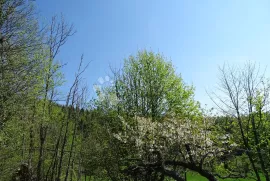 Prodajemo šumu u Gorskom Kotaru, Fužine, Terra