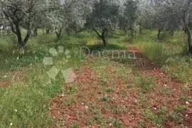 Zemljište na top lokaciji u Fažani, Fažana, Zemljište