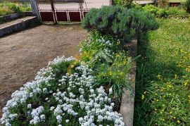 KAMENA KUĆA SA VELIKIM ZEMLJIŠTEM MARASI-VRSAR, Sveti Lovreč, Дом