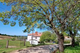 KAMENA KUĆA SA VELIKIM ZEMLJIŠTEM MARASI-VRSAR, Sveti Lovreč, Дом