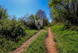 Rijetkost na tržištu! Zemljište na osami blizu Svetvinčenta, Svetvinčenat, Land