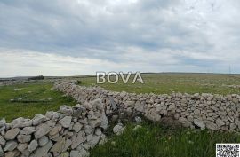 Poljoprivredno zemljište 60 000 m2 – Pag *Lijepa pozicija* (ID-2324), Povljana, Land