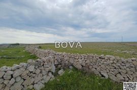 Poljoprivredno zemljište 60 000 m2 – Pag *Lijepa pozicija* (ID-2324), Povljana, Arazi