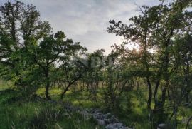 POLIČNIK, MURVICA - poljoprivredno zemljište, Poličnik, Terrain