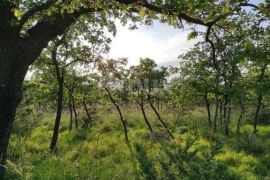 POLIČNIK, MURVICA - poljoprivredno zemljište, Poličnik, Terrain