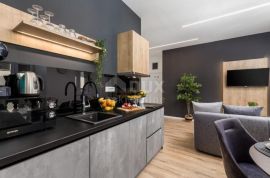 RIJEKA, CENTAR -  Uhodani posao tri moderna apartmana 1S+DB s vlastitim balkonima, Rijeka, Appartamento