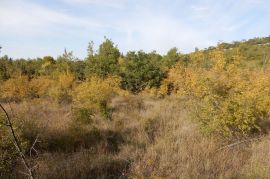 VODICE, poljoprivredno zemljište, površine 5588 m2, Vodice, Terrain