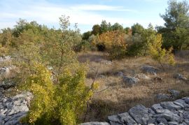 VODICE, poljoprivredno zemljište, površine 5588 m2, Vodice, Terrain