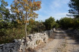 VODICE, poljoprivredno zemljište, površine 5588 m2, Vodice, Terra