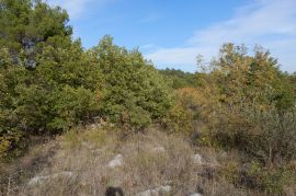 VODICE, poljoprivredno zemljište, površine 5588 m2, Vodice, Terrain