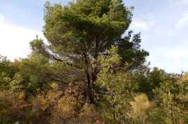 VODICE, poljoprivredno zemljište, površine 5588 m2, Vodice, Terrain