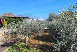 ISTRA, BUJE - Samostojeća prizemnica na mirnoj lokaciji, Buje, Σπίτι