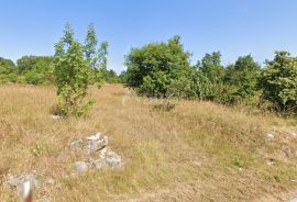 ISTRA, BARBAN - Kompleks građevinskog 600 m2 i poljoprivrednog 10133 m2 na rubu mirnog naselja, Barban, Terra