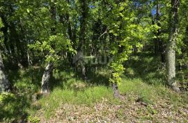 ISTRA, PIĆAN - Građevinsko zemljište na rubu manjeg mjesta, Pićan, Terreno