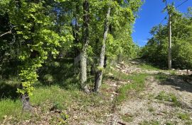 ISTRA, PIĆAN - Građevinsko zemljište na rubu manjeg mjesta, Pićan, Terreno