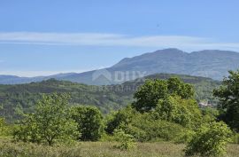 ISTRA, PIĆAN - Zemljište s građevinskom dozvolom i otvorenim pogledom na Učku, Pićan, Zemljište