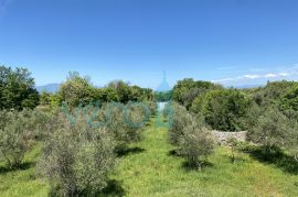 Malinska, Bogovići, Dvojna kuća sa bazenom na mirnoj lokaciji, 1.6km od mora, prodaja, Malinska-Dubašnica, Kuća