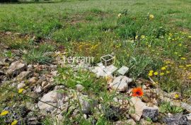 Istra, Svetvinčenat, Režanci, građevinsko zemljište 2214m2  ODLIČNA LOKACIJA  #prodaja, Svetvinčenat, Tierra