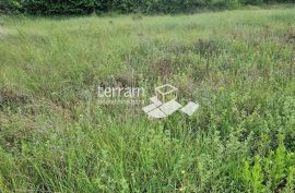 Istra, Svetvinčenat, Režanci, građevinsko zemljište 1670m2  ODLIČNA LOKACIJA  #prodaja, Svetvinčenat, Land