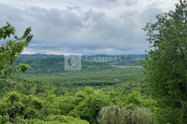 Istra kamena starina velikog potencijala!, Motovun, Kuća