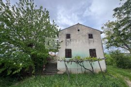 Istra kamena starina velikog potencijala!, Motovun, Kuća