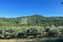 Istra vrhunsko građevinsko zemljište sa predivnim pogledom!, Buzet, Zemljište