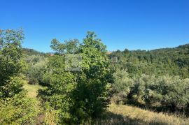 Istra vrhunsko građevinsko zemljište sa predivnim pogledom!, Buzet, Zemljište