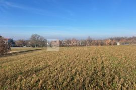 Pazin građevinsko zemljište u industrijskoj zoni!, Pazin - Okolica, Terra