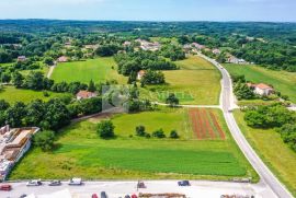 Pazin građevinsko zemljište u industrijskoj zoni!, Pazin - Okolica, Terra