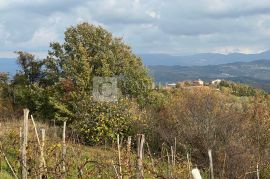 Istra Kašćerga vrhunsko zemljište sa građevinskom dozvolom!, Pazin - Okolica, Terra