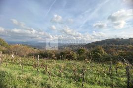 Istra Kašćerga vrhunsko zemljište sa građevinskom dozvolom!, Pazin - Okolica, Terra